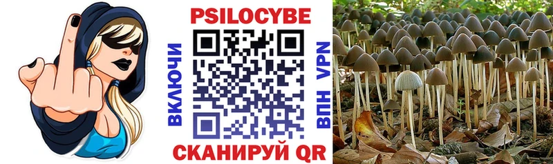 hydra ССЫЛКА  Воткинск  Псилоцибиновые грибы ЛСД 